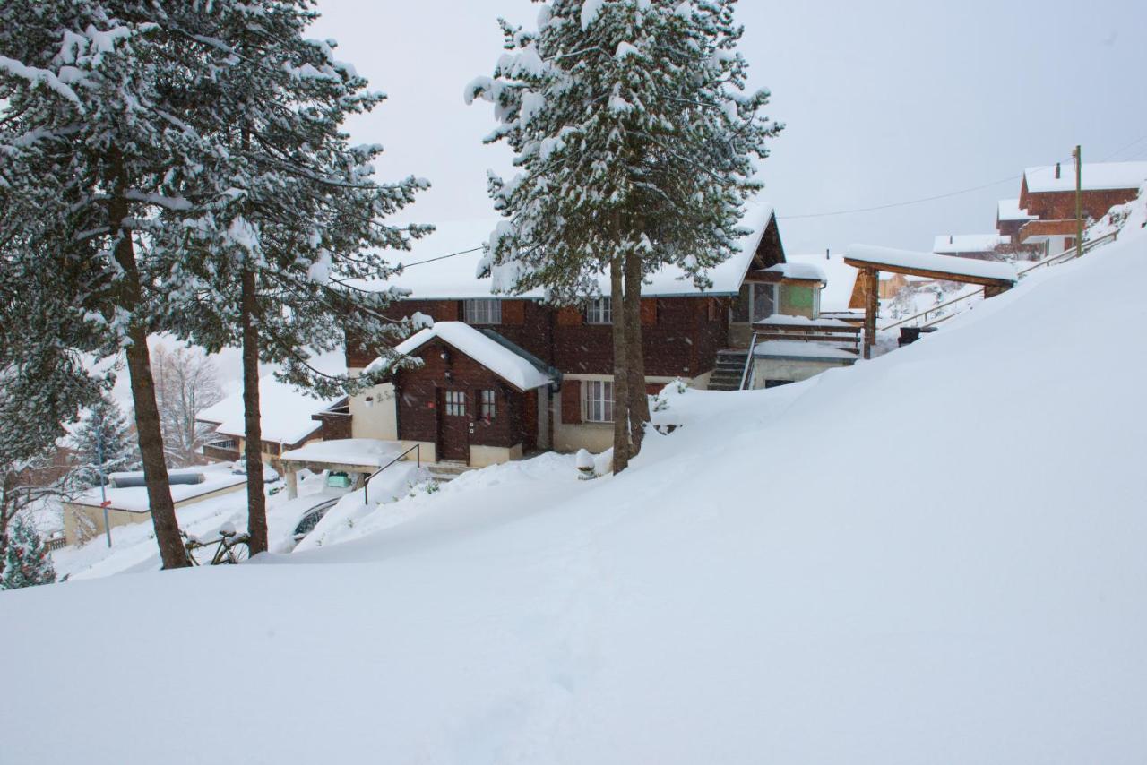 Chalet 4 Personnes Avec Sauna Leysin Exterior photo
