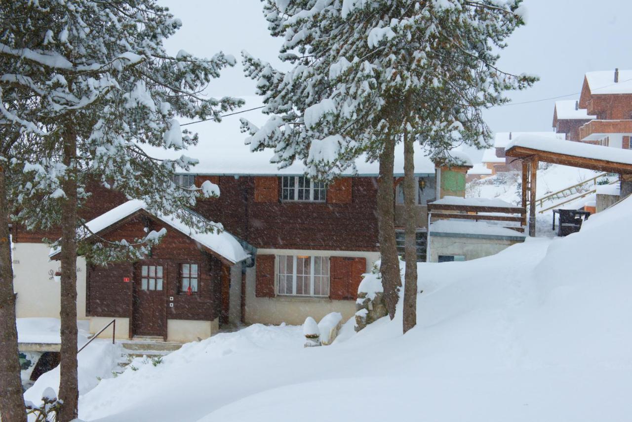 Chalet 4 Personnes Avec Sauna Leysin Exterior photo